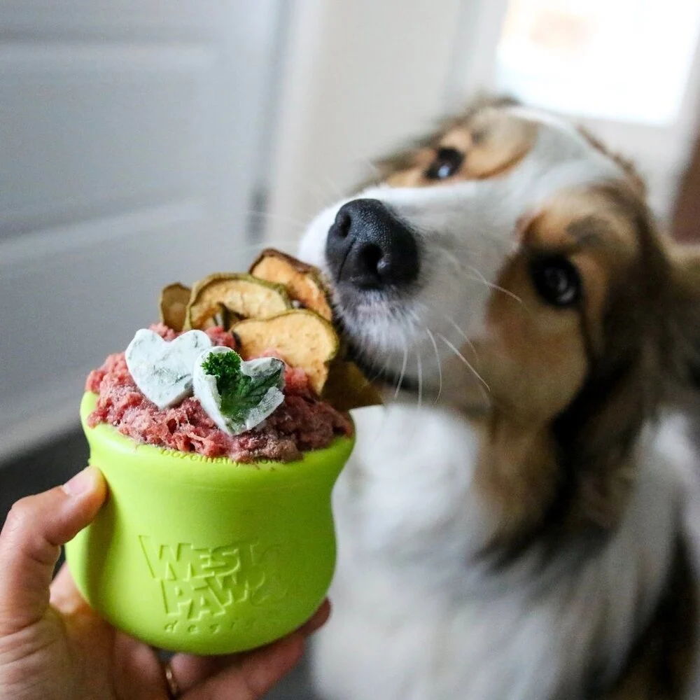 West Paw honden speelgoed Zogoflex Toppl XL – Tangerine Oranje 12 cm