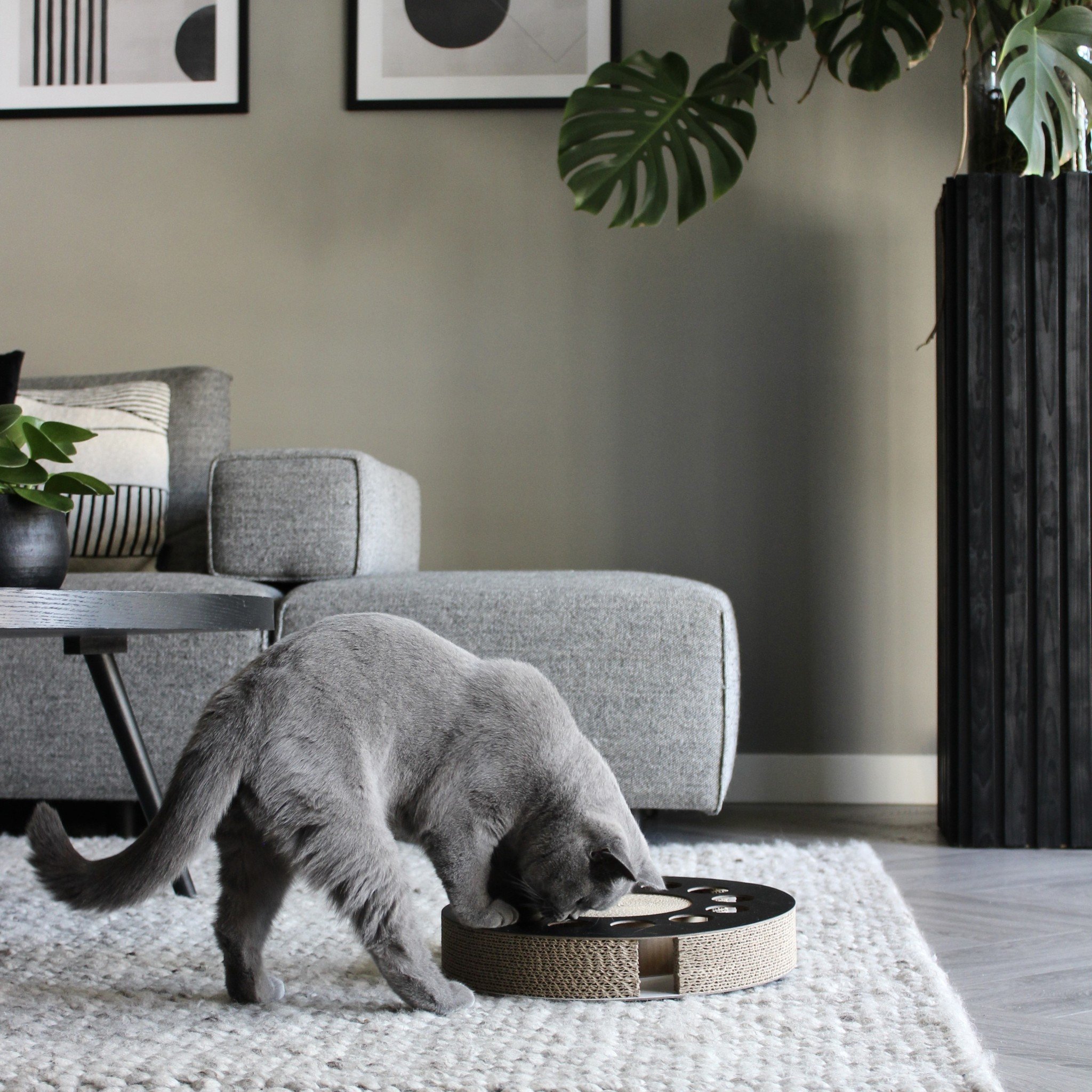 District 70 Krabspeelgoed WHIRL Zwart – Cirkelvormig speelgoed