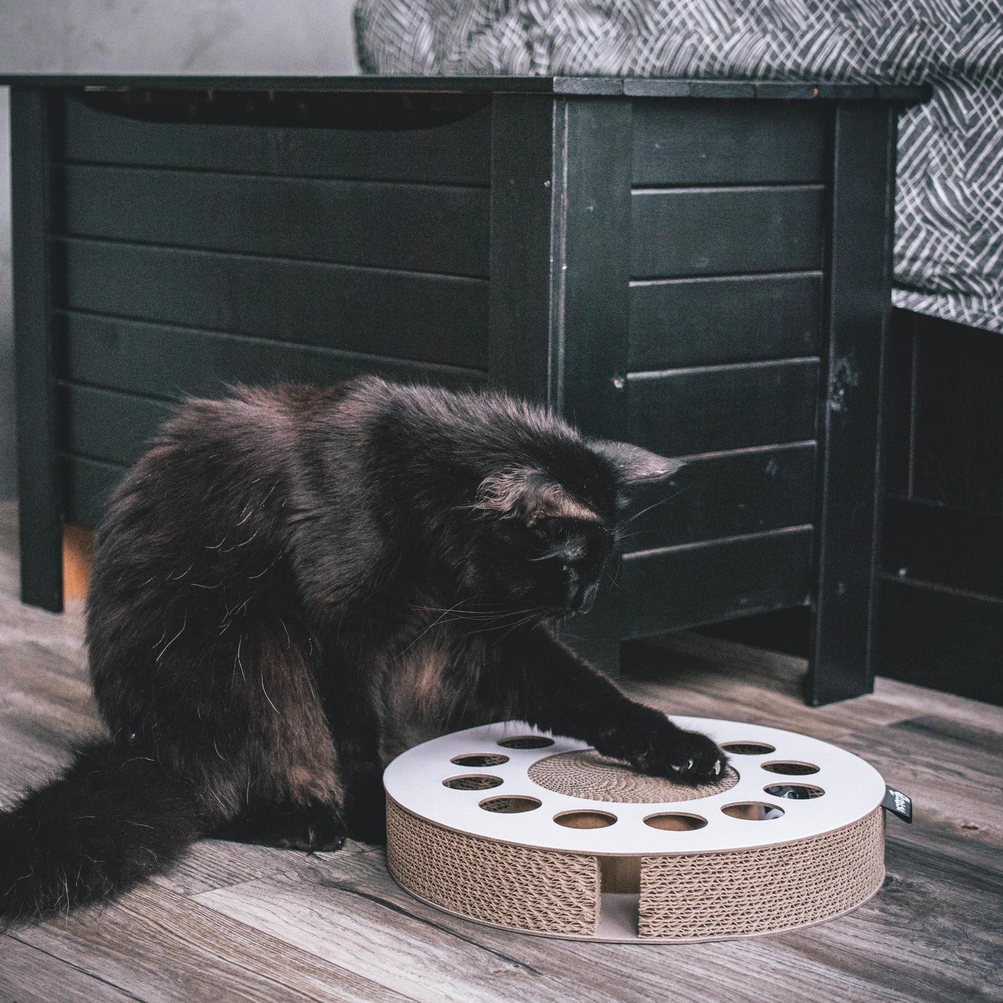 District 70 kattenkrabspeelgoed WHIRL Wit – cirkelvormig