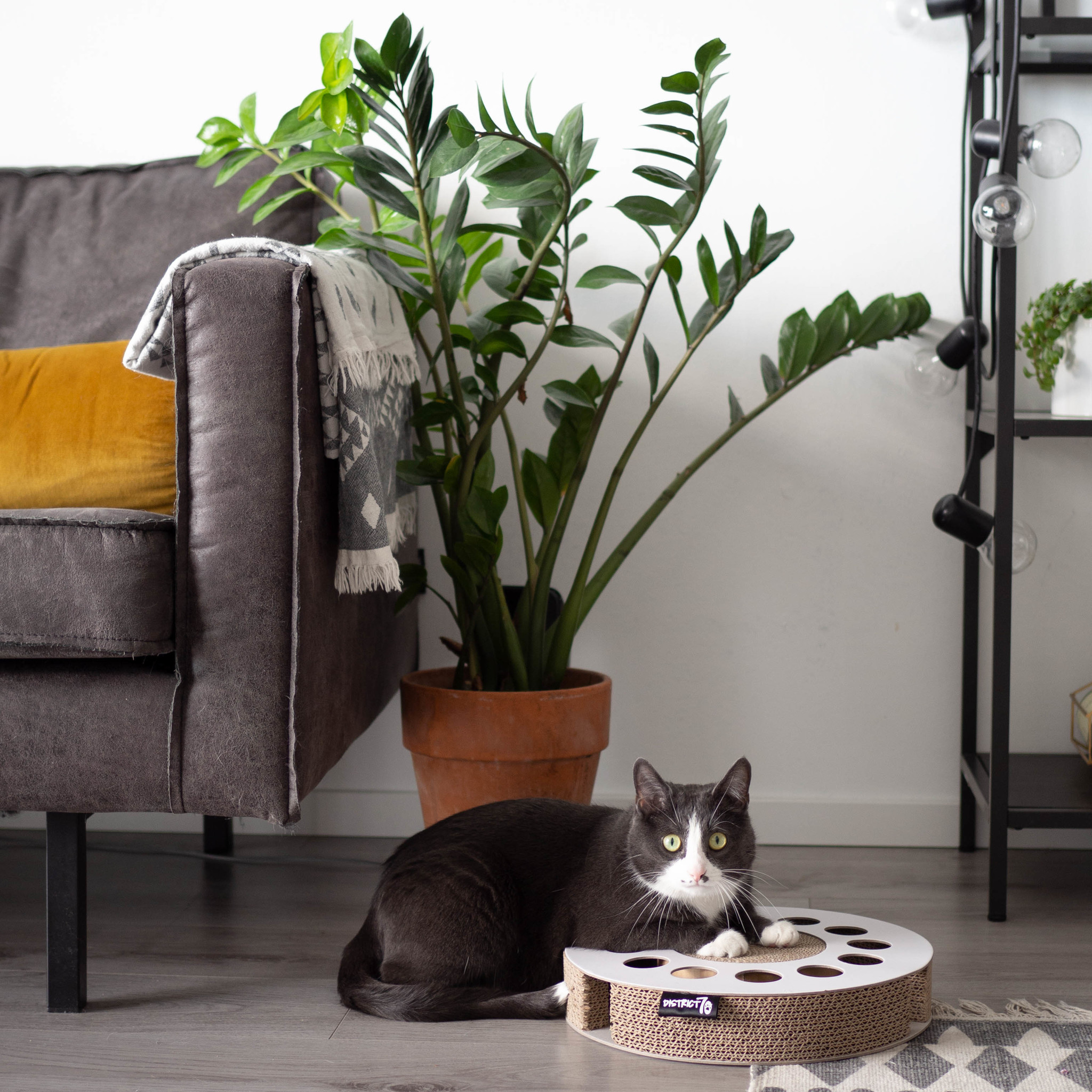 District 70 kattenkrabspeelgoed WHIRL Wit – cirkelvormig