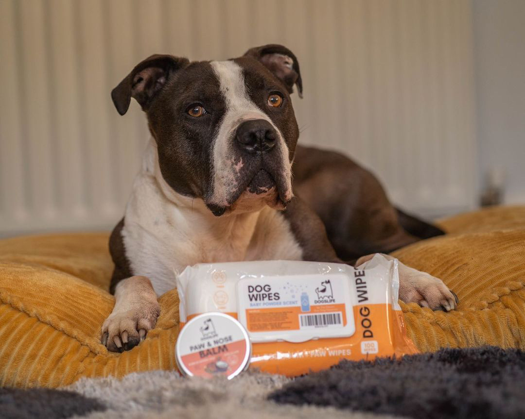 DogsLife Dog Grooming Wipes - 20 Stück - Natürlich desodorierend